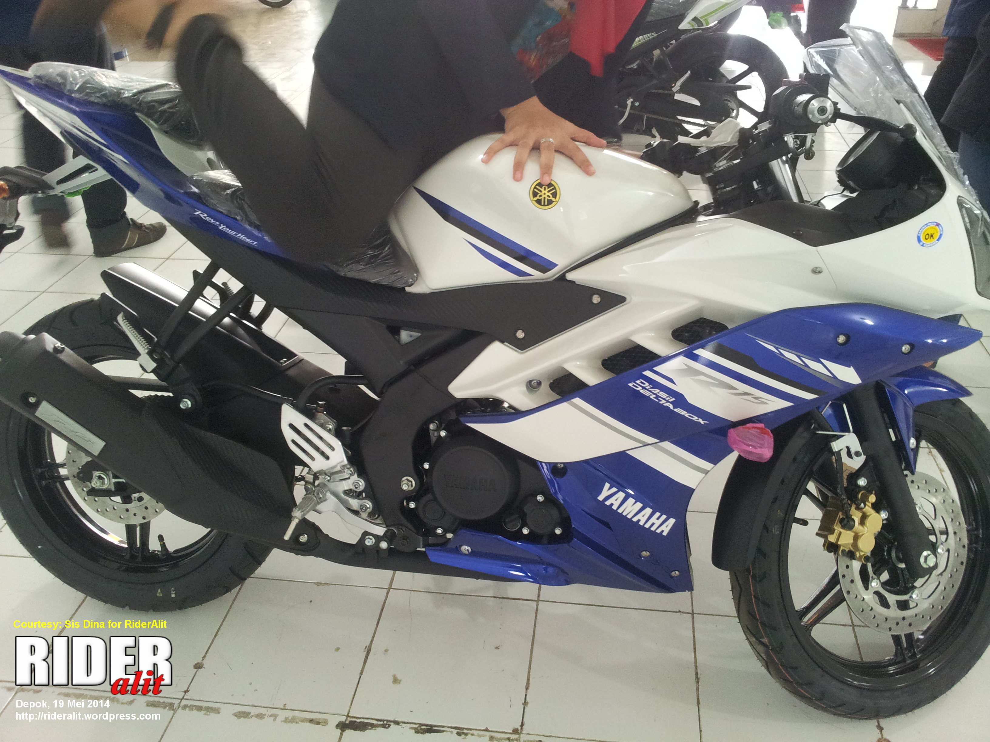 Yamaha R15 RiderAlit